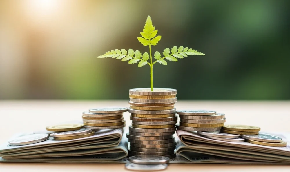 How to Use HELOC and Savings to Crush Debt with Money Max Account